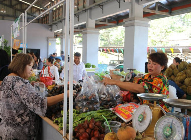 “รมช.เกษตร” ปักหมุดตลาดเกษตรกรเชียงราย หนุนบริโภคผลไม้ไทย ... พารามิเตอร์รูปภาพ 77